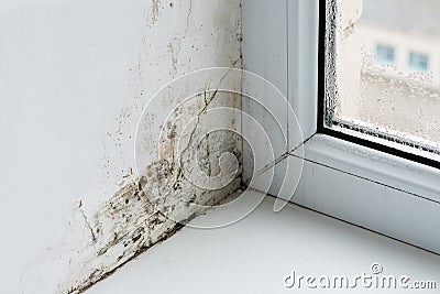 Mold in the corner of the plastic windows Stock Photo