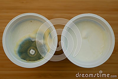 Mold cup yogurt growth east disgusting mould mildew green detail. Food product dairy product cream expired warranty Stock Photo