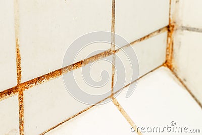 Mold fungus and rust growing in tile joints in damp poorly ventilated bathroom with high humidity, wtness, moisture and dampness Stock Photo