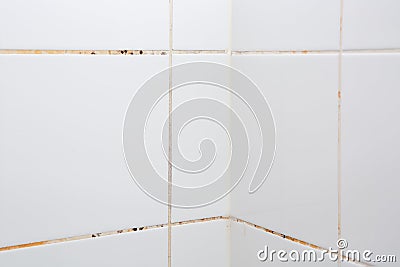 Mold or fungus of the wall in the Shower room causing black or brown mold in the bathroom or toilet room caused by the hot water Stock Photo