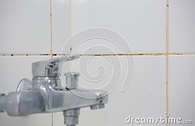 Mold or fungus of the wall in the Shower room causing black or brown mold in the bathroom Stock Photo