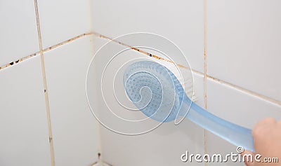 Mold or fungus of the wall in the Shower room causing black or brown mold in the bathroom or toilet room caused by the hot water Stock Photo