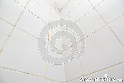 Mold or fungus of the wall in the Shower room causing black or brown mold in the bathroom or toilet room caused by the hot water Stock Photo