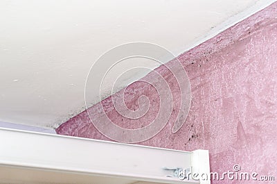 Mold and moisture buildup on pink wall Stock Photo