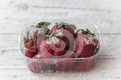 Mold Strawberry Stock Photo