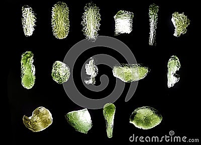 moldavite minerals isolated Stock Photo