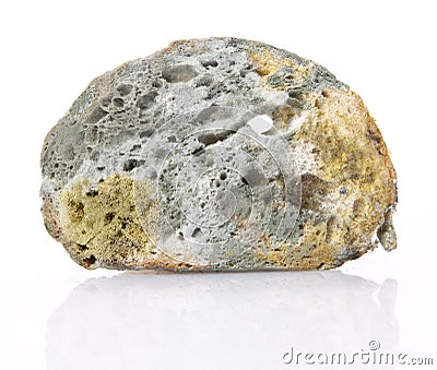 Moldy bread Stock Photo