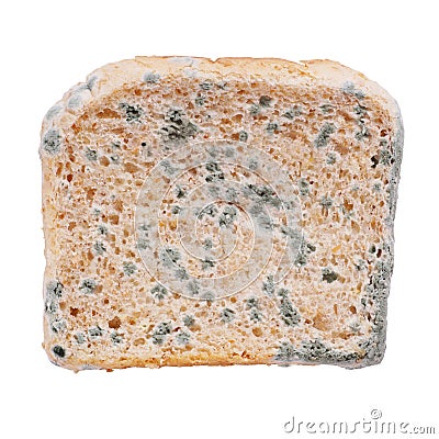 Moldy bread Stock Photo