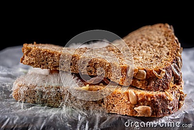 Moldy sandwich with smoked meat in a plastic bag. Dark bread with grains covered with white mold Stock Photo