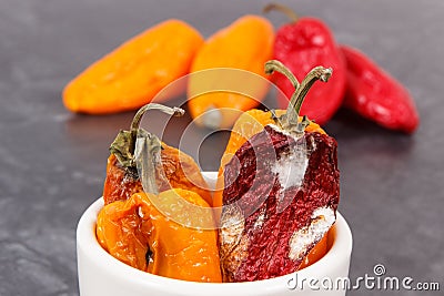 Moldy and wrinkled peppers. Unhealthy, decompose, spoiled vegetable Stock Photo