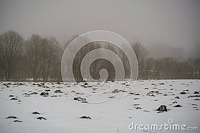 mole camuflage molehill pattern in the field with snow and mist Stock Photo