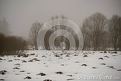 mole camuflage molehill pattern in the field with snow and mist Stock Photo