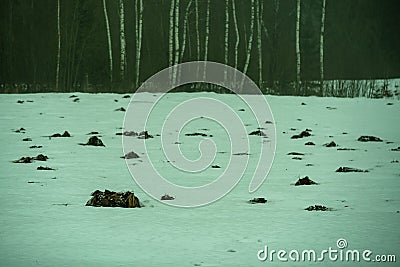 mole camuflage molehill pattern in the field with snow and mist Stock Photo