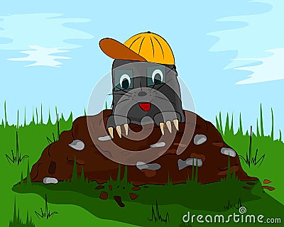 Mole with a cap on molehill Stock Photo