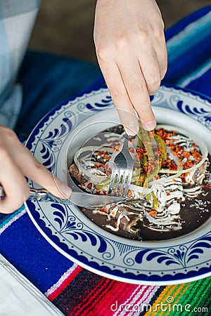 Mole Mexicano, Poblano mole ingredients, mexican spicy food traditional in Mexico Stock Photo