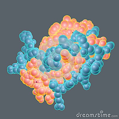 Molecular mode of leptin Cartoon Illustration