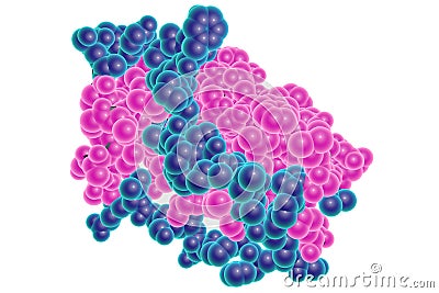 Molecular mode of leptin Cartoon Illustration