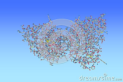 Molecular model of angiopoietin-1 (Ang1) fibrinogen-related domain. Ang1 is a type of angiopoietin and has powerful Cartoon Illustration