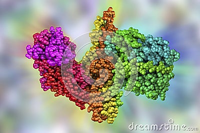 Molecular model of botulinum neurotoxin Cartoon Illustration