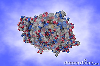 Molecular model of human interleukin-2 in complex with interleukin-2 receptor. Atoms are shown as color-coded spheres Cartoon Illustration