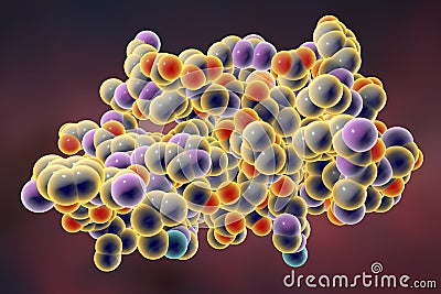 Molecular model of insulin molecule Cartoon Illustration