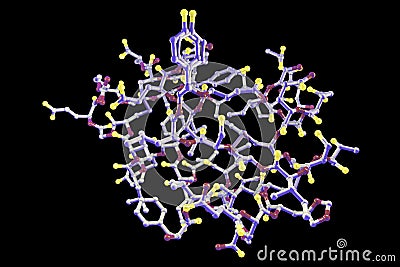 Molecular model of insulin molecule Cartoon Illustration