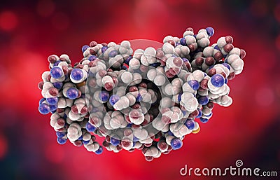 Molecular model of interferon-gamma Cartoon Illustration