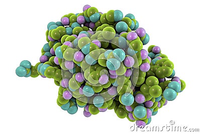 Molecular model of lysozyme protein Cartoon Illustration