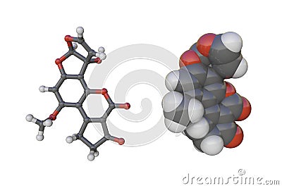 Molecular models of aflatoxin M1. Atoms are shown as spheres with conventional color coding Cartoon Illustration