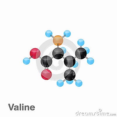 Molecular omposition and structure of Valine, Val, best for books and education Cartoon Illustration