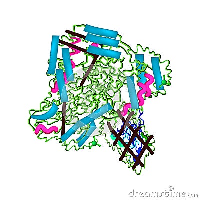 Molecular structural chemical formula Lipase. Enzyme digestive tract lipase. Infographics. Vector illustration on Vector Illustration