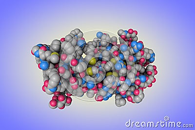 Molecular structure of human chorionic gonadotropin. Atoms are represented as spheres with conventional color coding Cartoon Illustration