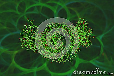 Molecular model of interleukin-16 (IL-16) bound to the 14.1 antibody. IL-16 is a chemoattractant cytokine produced by Cartoon Illustration