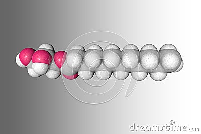 Molecular structure of monolaurin. Atoms are represented as spheres with conventional color coding: carbon grey Cartoon Illustration