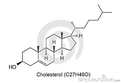 Molecule of cholesterol, vector chemical structure Vector Illustration