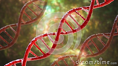 Molecule of DNA, double helix, 3D illustration Cartoon Illustration