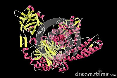 Molecule of tetanus neurotoxin Cartoon Illustration