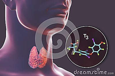 Molecule of thyroid hormone T3 Cartoon Illustration