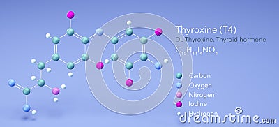 molecule thyroxine, molecular structures, Thyroid hormone 3d model, Structural Chemical Formula and Atoms with Color Coding Stock Photo