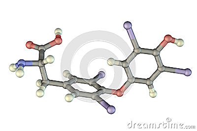 Molecule of thyroxine, a thyroid hormone Cartoon Illustration