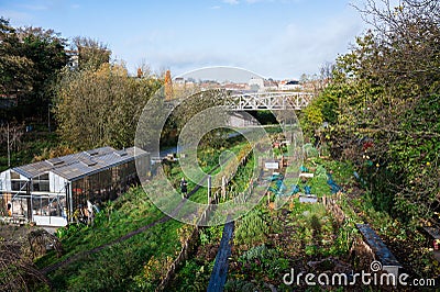 Molenbeek, Brussels Capital Region, Belgium - Cultivated Allotment gardens at the Tour and Taxis city park Editorial Stock Photo