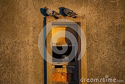 Molentargius by the sunset , sea reflection, pigeons Stock Photo