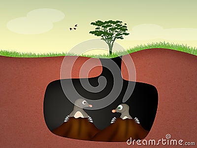 Moles in the den Stock Photo