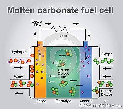 Molten carbonate fuel cells. Education infographic. Vector design. Vector Illustration