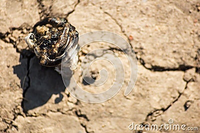 Molten piece of plastic on dry ground Stock Photo