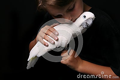 Moluccan Cockatoo With Boy Stock Photo