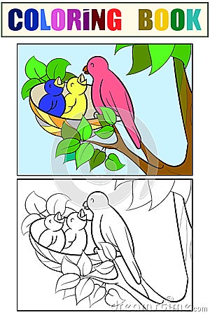 Mom bird feeds the chicks in the nest. Set of children art coloring book and drawing. Vector Illustration