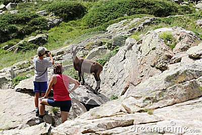 Mom and son taking a close picture of a steinbock during summer mountain holidays Stock Photo