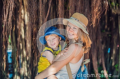 Mom and son on Vietnam travelers are on the background Beautiful tree with aerial roots Stock Photo