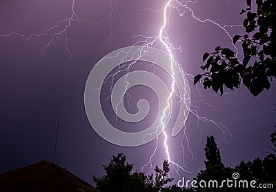 Huge lightning on night sky with trees silhouettes Stock Photo